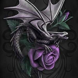 Meet your Posher, Karrie